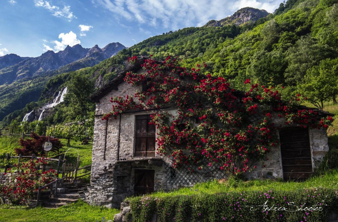Ca Bregaglia - Appartamenti Per Vacanze Prosto di Piuro Luaran gambar